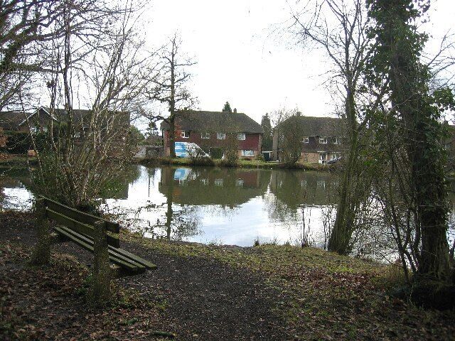 The Pond near Holmwood Station. Beare Green manages the fishing rights on the pond. Day tickets are not available