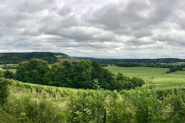 If you like wine then this wine estate is one of the places to see. Their classic collections are something you should try. Another must see when you visit England.
