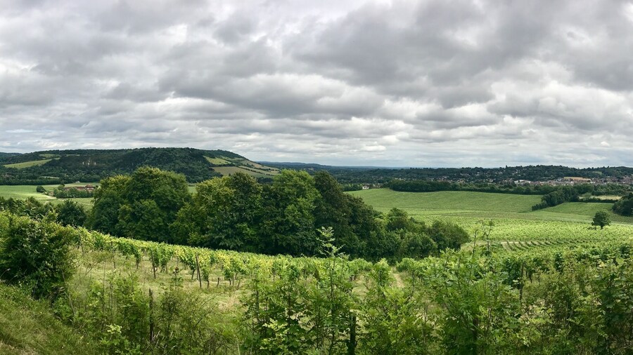 If you like wine then this wine estate is one of the places to see. Their classic collections are something you should try. Another must see when you visit England.