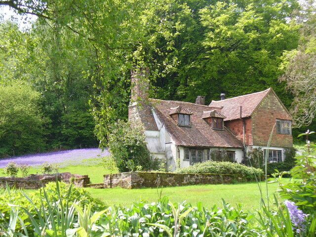 A traditional house with a sloped roof, surrounded by lush greenery and a field of purple flowers.
