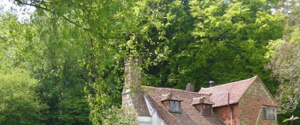 A traditional house with a sloped roof, surrounded by lush greenery and a field of purple flowers.