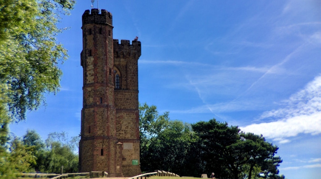 Beautiful viewpoint overlooking a panoramic scene across Surrey with the London skyline in the distance. Telescopes available at top of National Trust Tower. Refreshment bar available.
