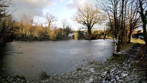 No swimming today. Ice on 107241 kept the waterfowl out of the water.