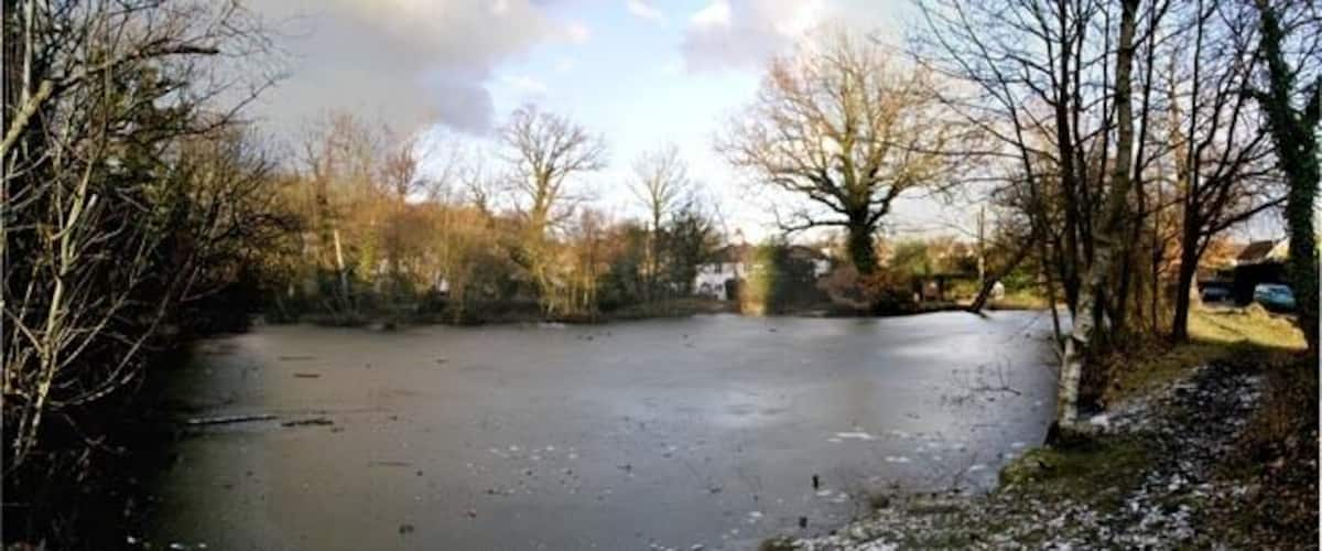 A frozen body of water surrounded by leafless trees and a grassy bank.
