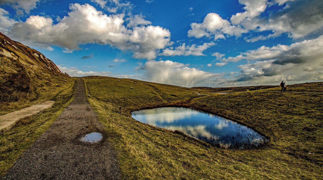 Samphire Hoe is a nature park built on the waste material from the Channel Tunnel excavations.