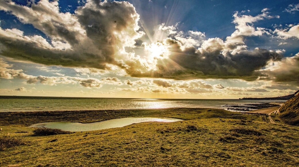 Samphire Hoe is a nature park built on the waste material from the Channel Tunnel excavations.