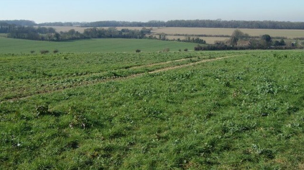 View to Singledge Lane View from footpath