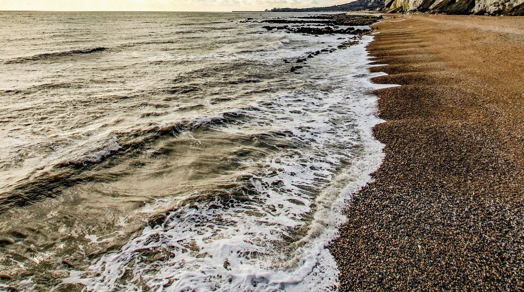 Beach at Samphire Hoe.