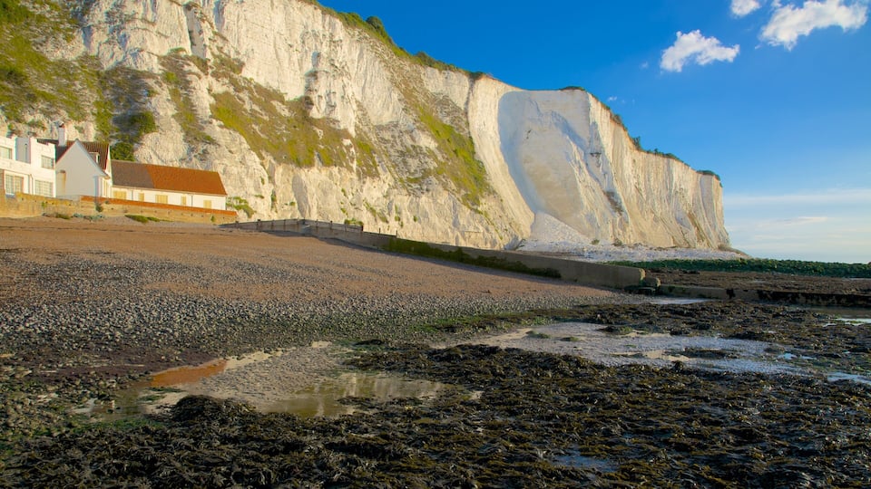 A rocky beach with a white cliff and a house.