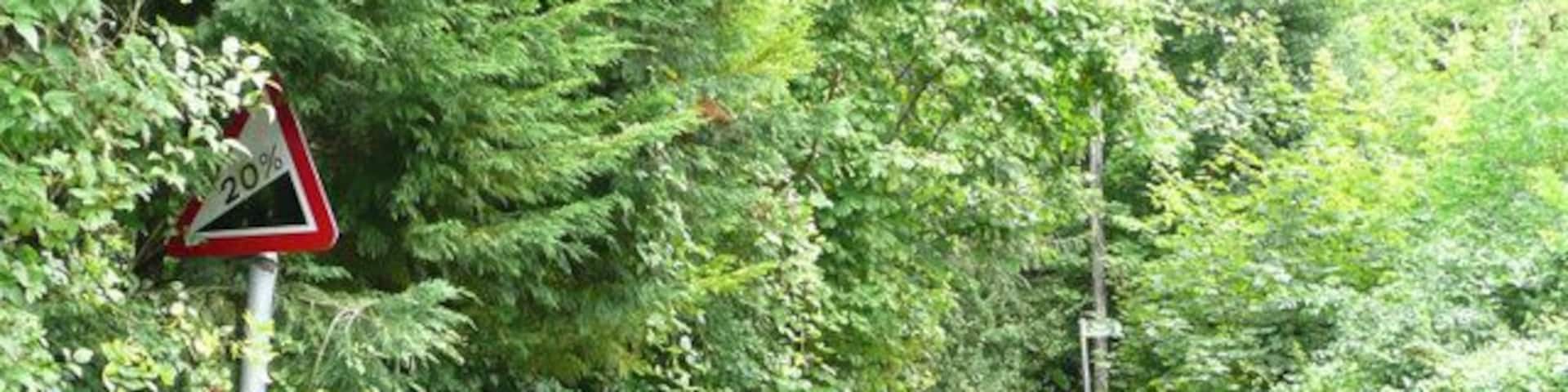 Warren Lane - Steep Hill 20% Warren Lane, Alkham. 20% steep hill up sign.