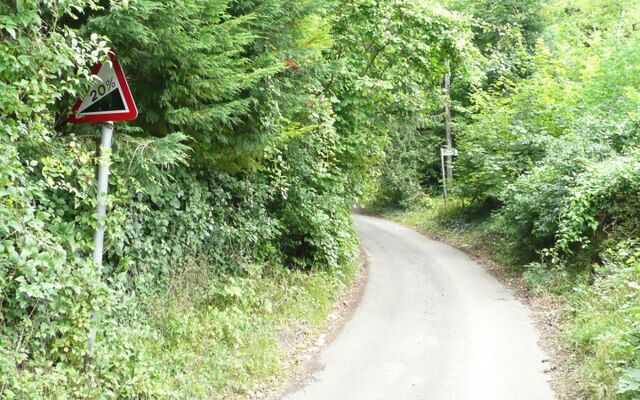 A narrow road winding through dense green foliage with a speed limit sign indicating 20 mph.