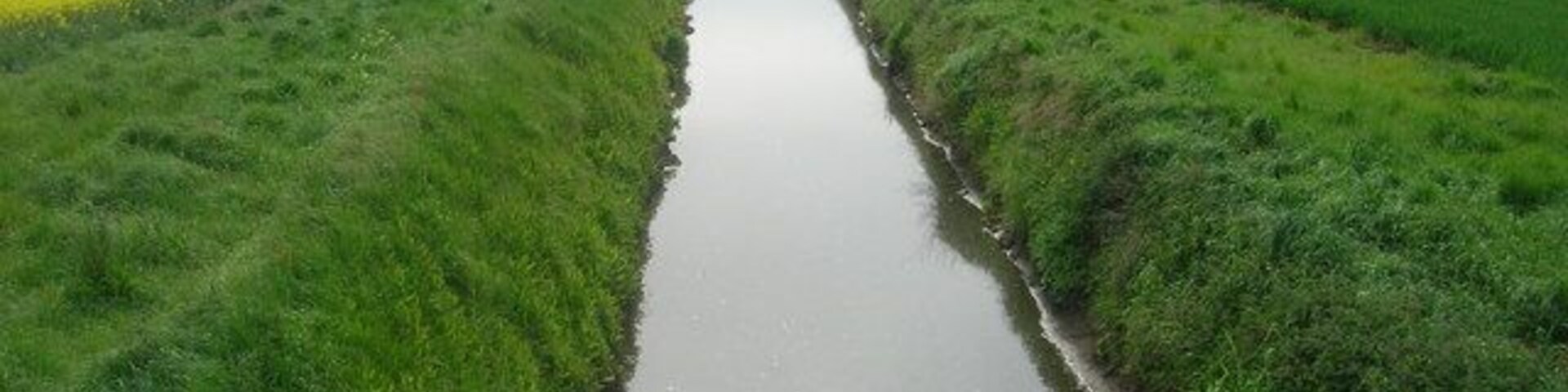Field Drain, Lissett Bridge, south-west of Lissett, East Riding of Yorkshire, England. Viewed from the bridge looking East.