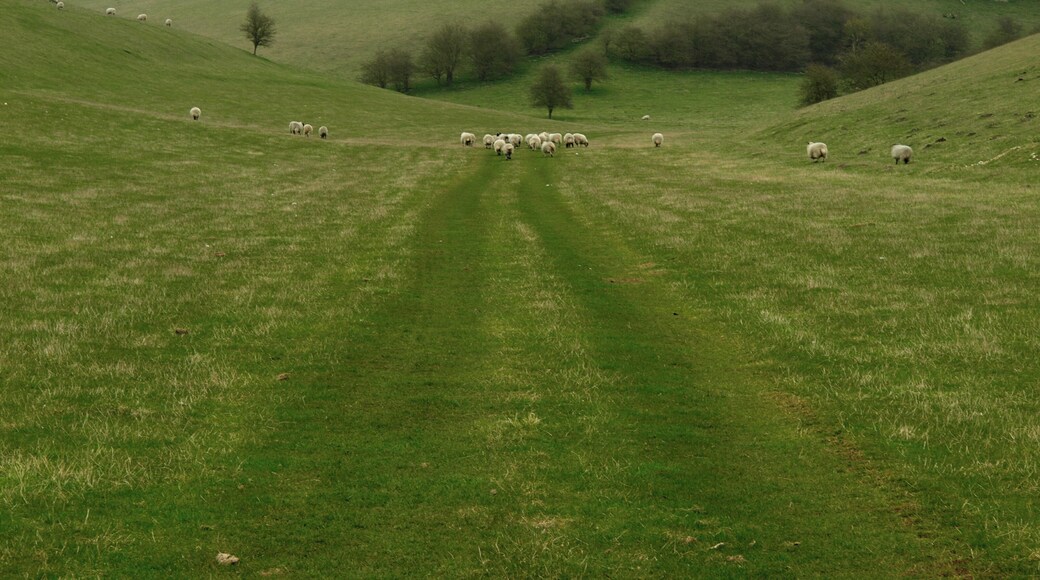 Lang Dale A typical Yorkshire Wolds' valley.
