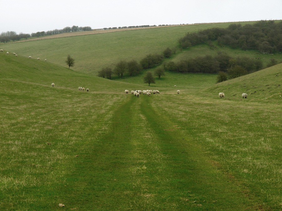 Lang Dale A typical Yorkshire Wolds' valley.