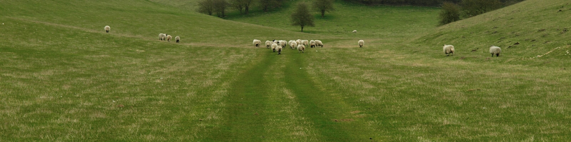 Lang Dale A typical Yorkshire Wolds' valley.