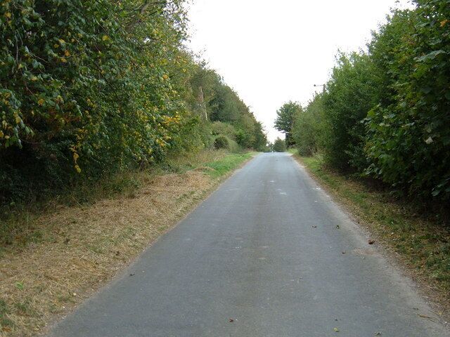 A narrow rural road flanked by dense foliage.