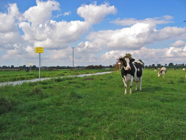 North of Brigham, East Riding of Yorkshire, England. Looking NW along the Driffield Canal.
