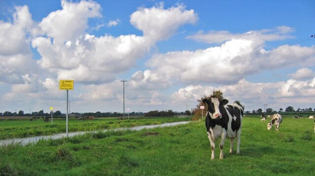 North of Brigham, East Riding of Yorkshire, England. Looking NW along the Driffield Canal.