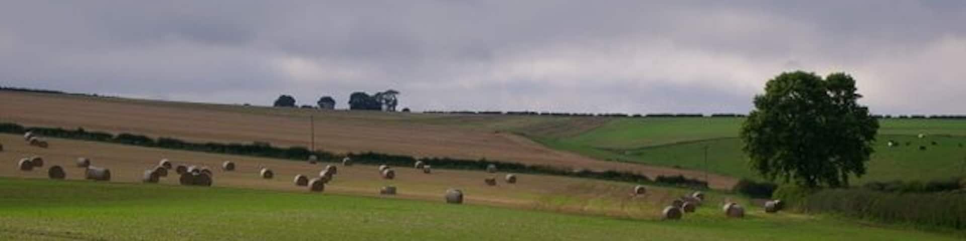 Field Near Honey Hill, Langtoft, East Riding of Yorkshire, England.
