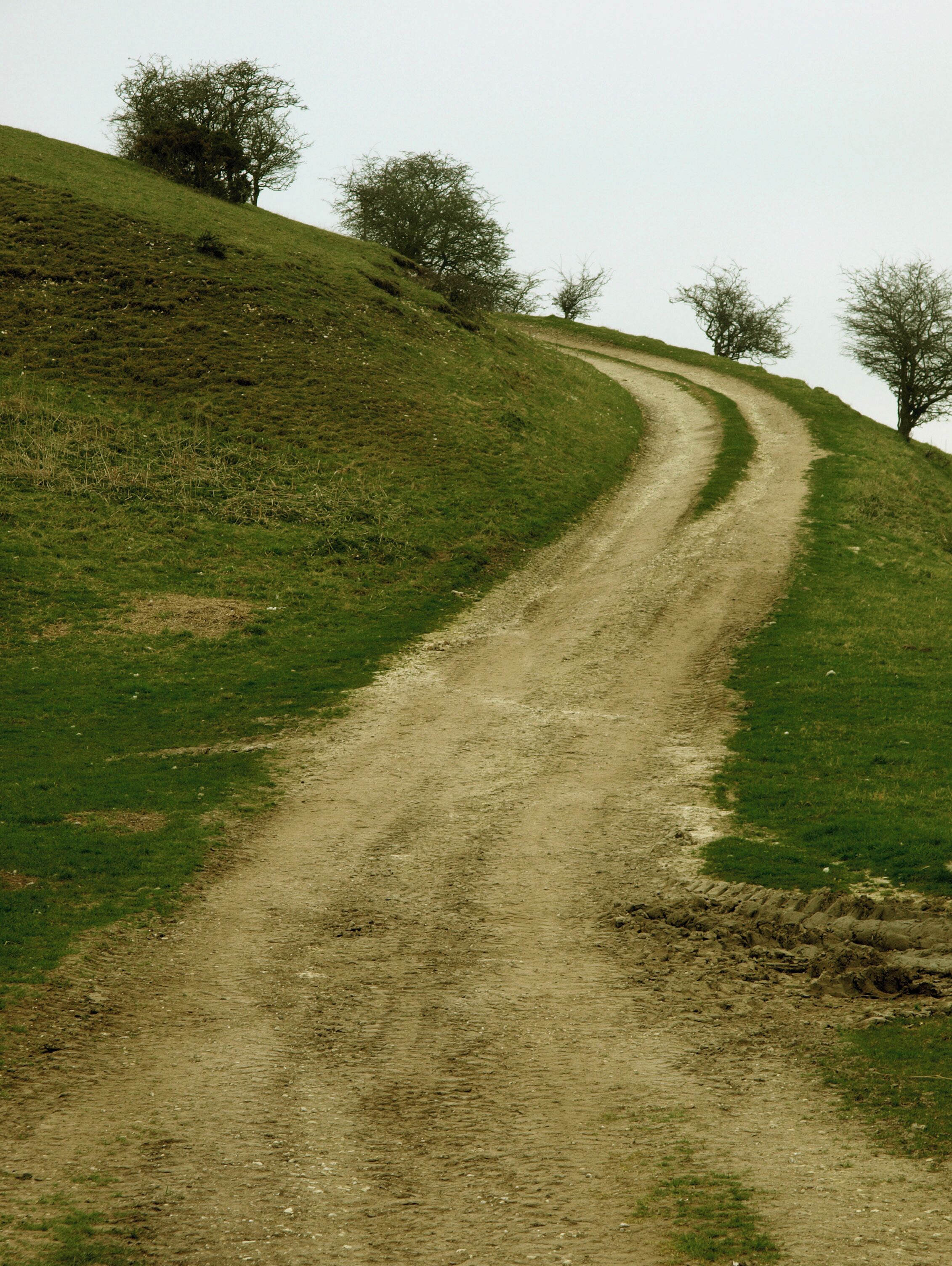 Farm Track in North Dale