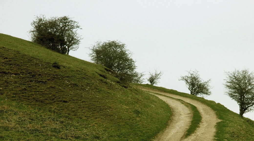 Farm Track in North Dale