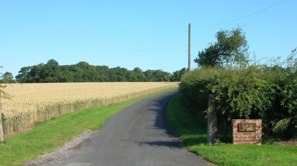 Track to Field House Farm, north west of Bainton, East Riding of Yorkshire, England. From the B1246.