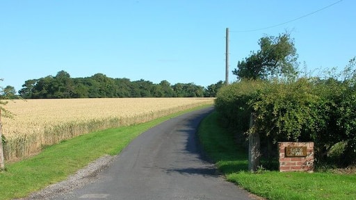 Track to Field House Farm, north west of Bainton, East Riding of Yorkshire, England. From the B1246.