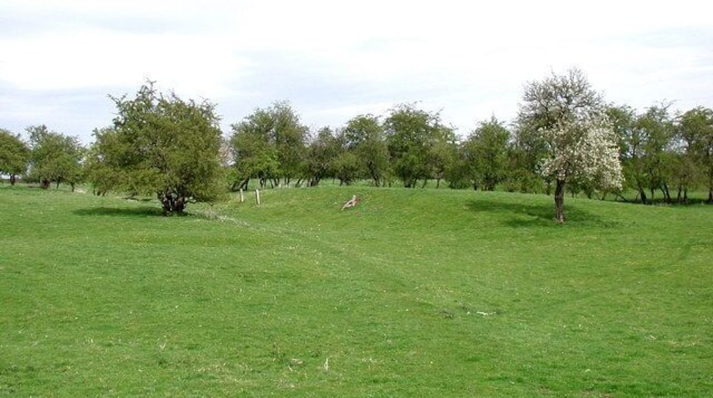 East of Kirkburn, East Riding of Yorkshire, England. Looking east-northeast along the public footpath from Battleburn to the site of the medieval village of Eastburn.