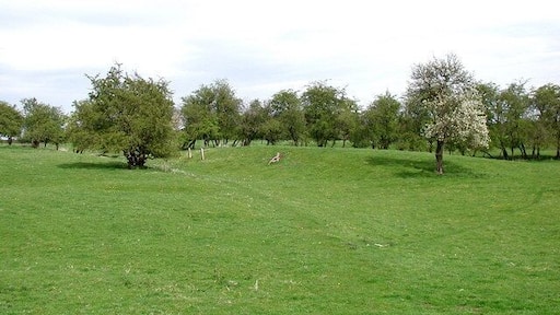 East of Kirkburn, East Riding of Yorkshire, England. Looking east-northeast along the public footpath from Battleburn to the site of the medieval village of Eastburn.