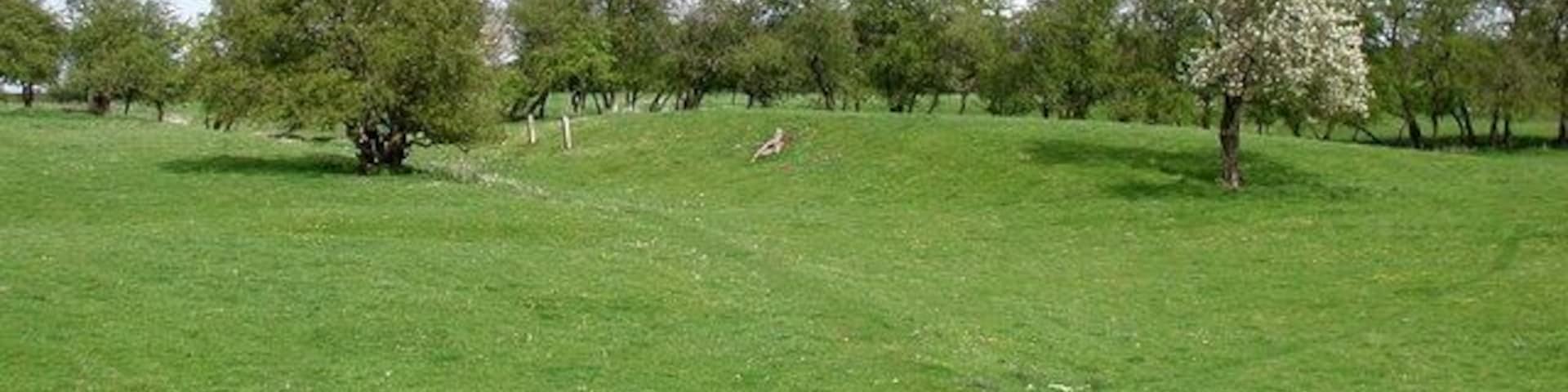 East of Kirkburn, East Riding of Yorkshire, England. Looking east-northeast along the public footpath from Battleburn to the site of the medieval village of Eastburn.