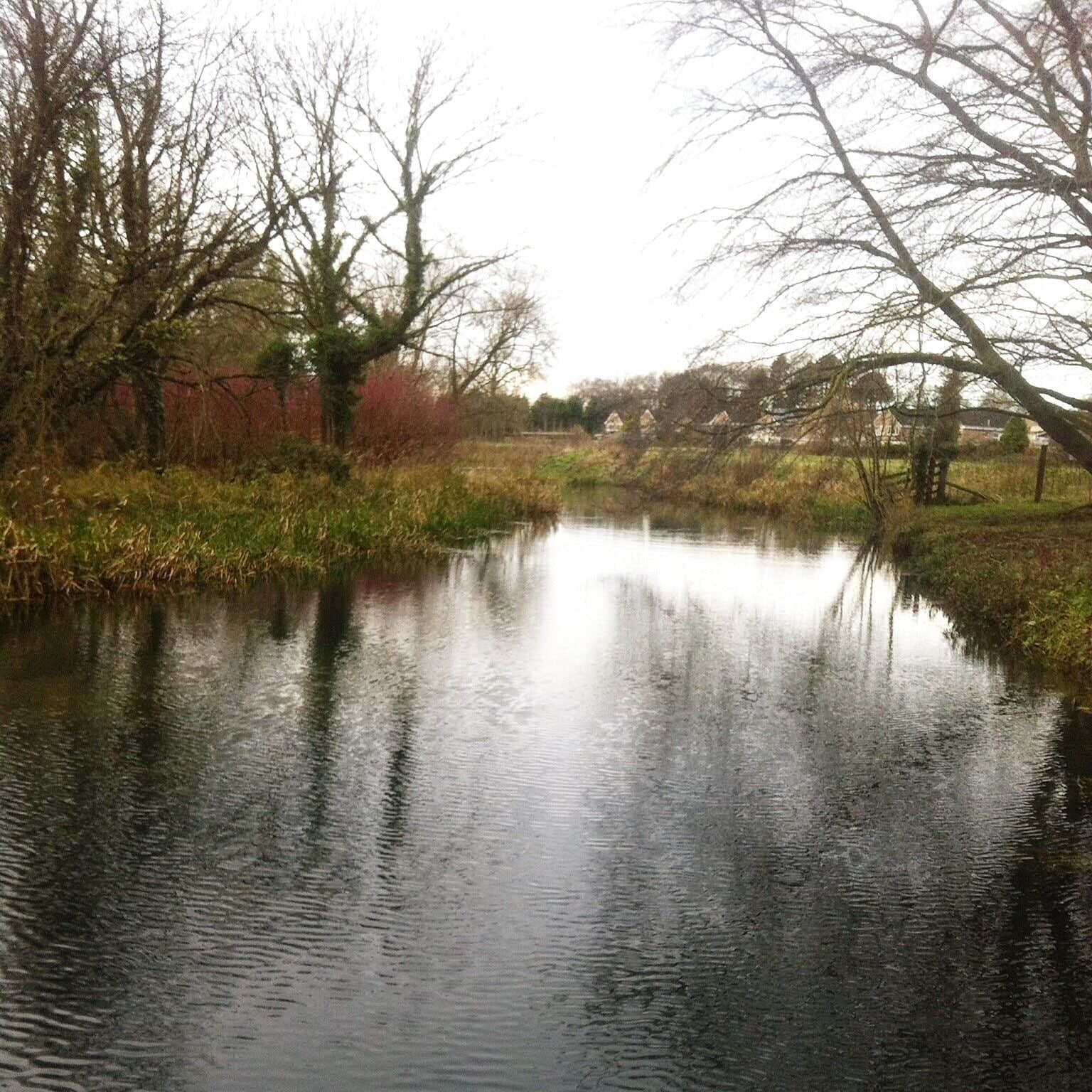 Great spot to feeds the ducks just outside of Driffield.