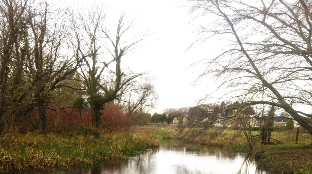 Great spot to feeds the ducks just outside of Driffield.