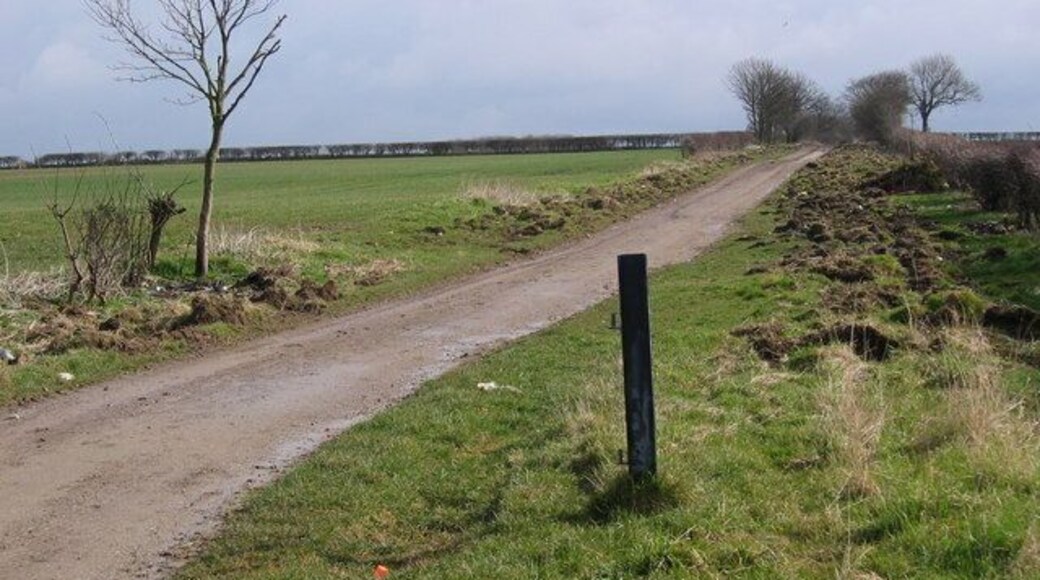 Green Lane, Harpham, East Riding of Yorkshire, England. Looking west along the lane which deteriorates considerably where it passes through the trees. Beyond the trees the lane reverts back to a solid footing. A 4x4 vehicle is needed on the bad section.