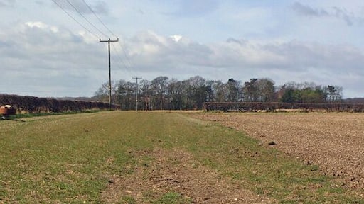 Towards Westfield Farm, North Dalton, East Riding of Yorkshire, England. Unfortunately the farm is obscured by trees, but the "set aside" strip is clearly visible. In this area populations of Skylark, and Hare, seem to have increased well over the last few years.