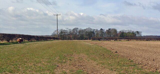 A rural landscape with a field, a hedge, and a utility pole.