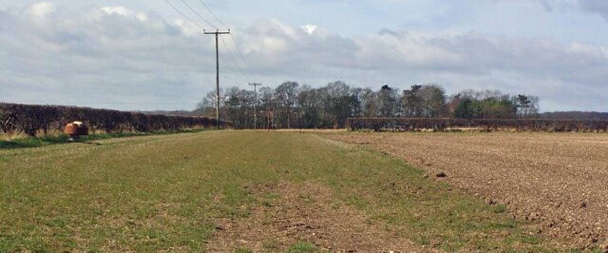 A rural landscape with a field, a hedge, and a utility pole.