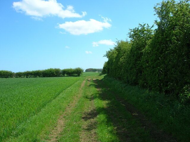 Farm Track near Hill Farm, Burton Fleming, East Riding of Yorkshire, England.