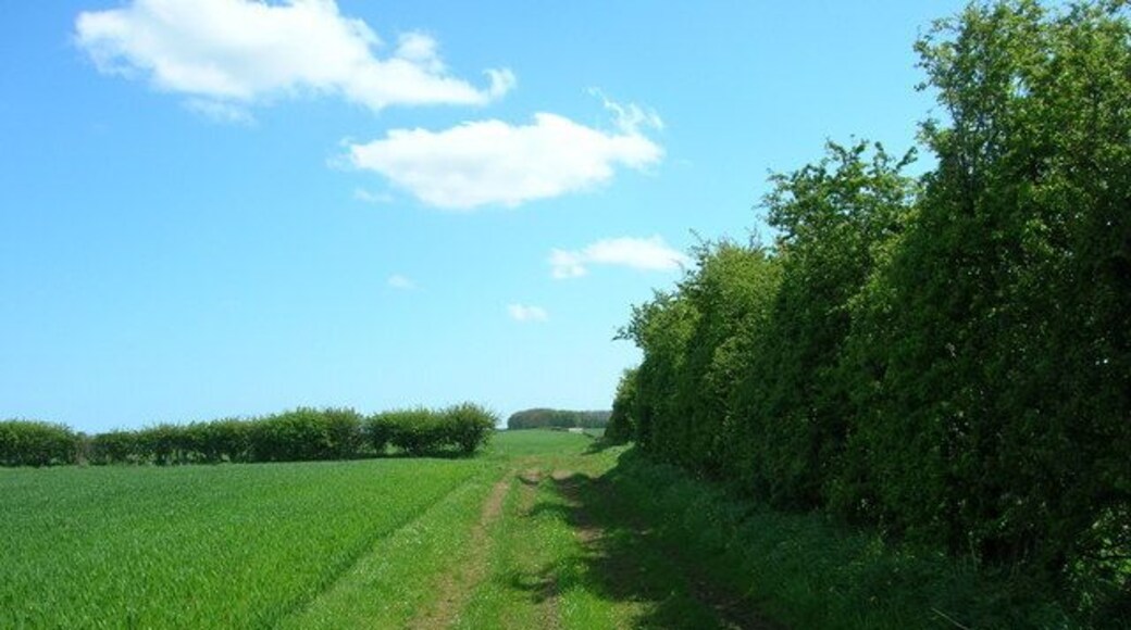 Farm Track near Hill Farm, Burton Fleming, East Riding of Yorkshire, England.
