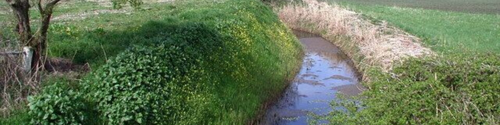 Nafferton Drain, Brigham, East Riding of Yorkshire, England. Looking north-northeast from Nafferton Drain Bridge on the B1249 near Tinkers' Nook, north of Brigham.