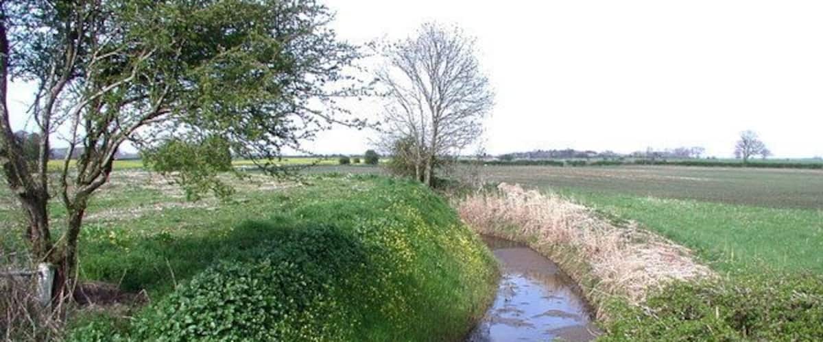 A narrow water channel flanked by dense vegetation and trees.