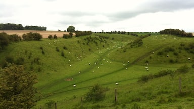 Some lovely East Yorkshire countryside near North Dalton