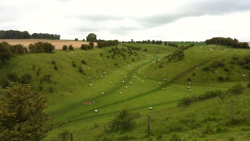 Some lovely East Yorkshire countryside near North Dalton