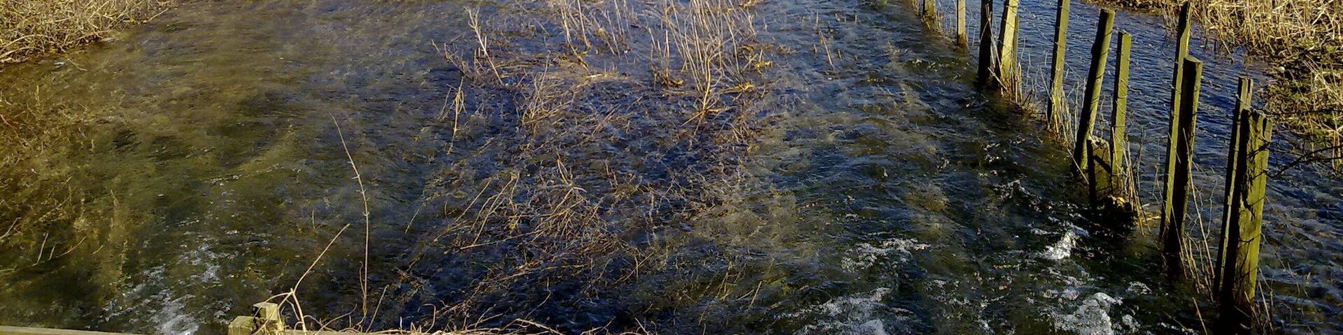 Gypsey Race, Burton Fleming, East Riding of Yorkshire, England.