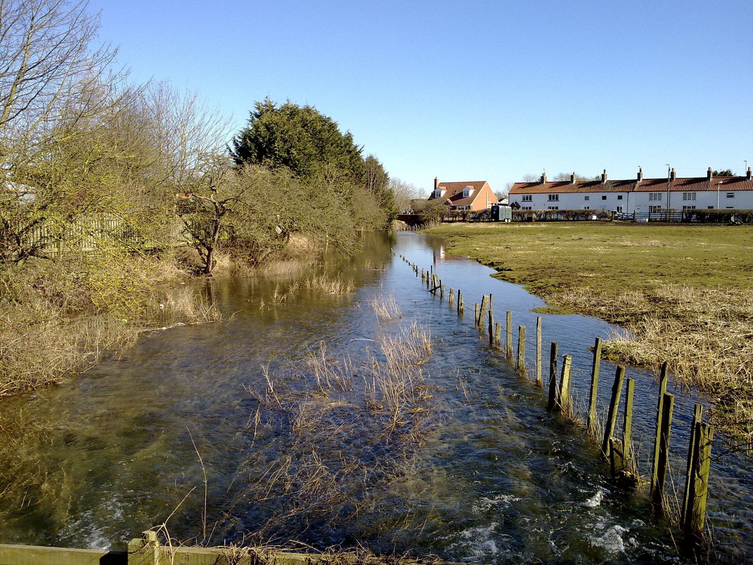 A calm river with wooden posts along the edge, surrounded by trees and residential buildings.