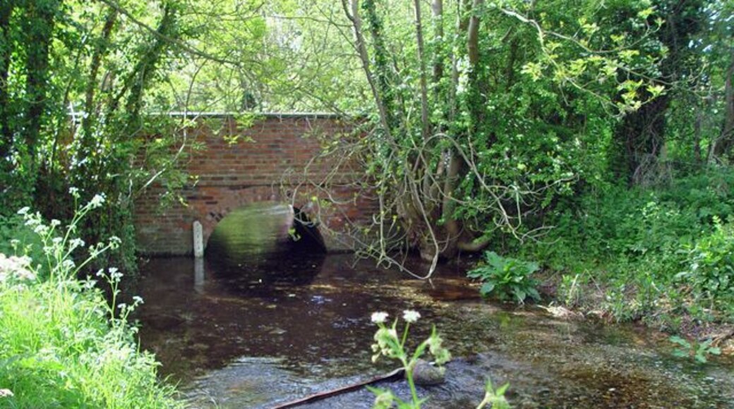 The bridge over Eastburn Beck, Kirkburn, East Riding of Yorkshire, England. The water comes from springs a little further west, and flows past the photographer on its way to join the river Hull. The water is beautifully clean.