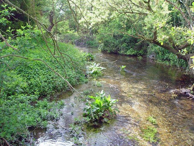 Eastburn Beck, Kirkburn, East Riding of Yorkshire, England. Looking west from the bridge in Main Street, Kirkburn.
