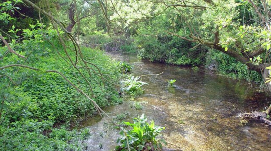 Eastburn Beck, Kirkburn, East Riding of Yorkshire, England. Looking west from the bridge in Main Street, Kirkburn.