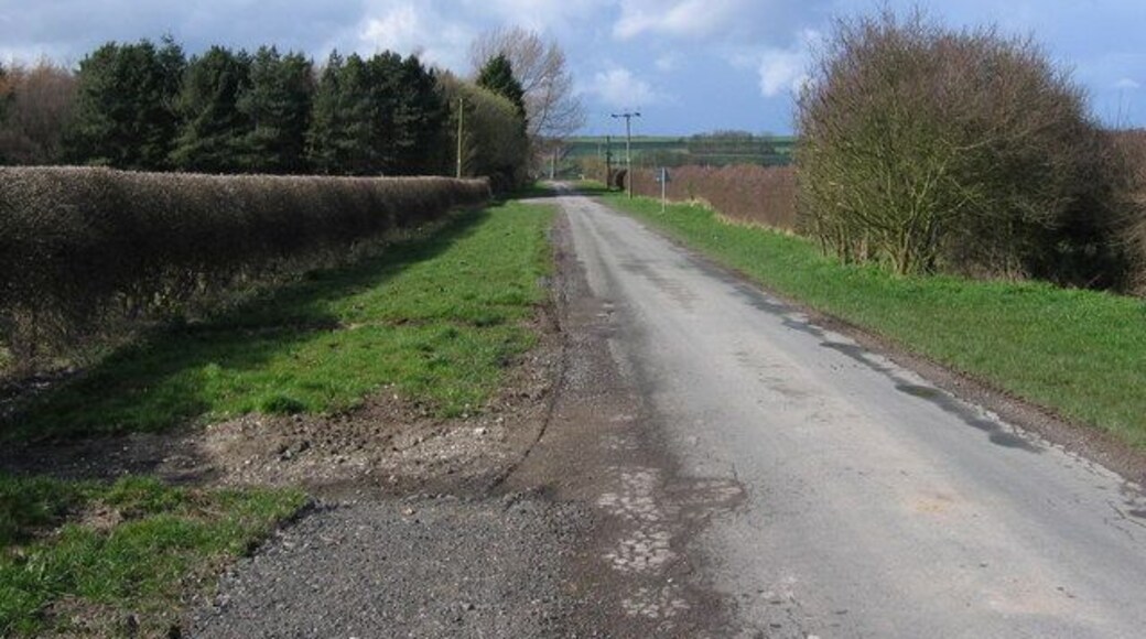 West of Nafferton, East Riding of Yorkshire, England. The lane seen here links the minor Nafferton, Driffield road with the A614. View north towards the A614.