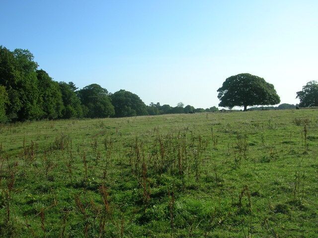 Farmland east of Bainton, East Riding of Yorkshire, England.