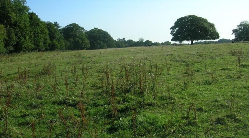 Farmland east of Bainton, East Riding of Yorkshire, England.